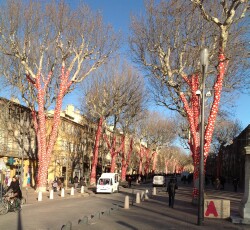 Culture 2013: trees dressed up!