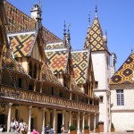 Burgundy roof tiles